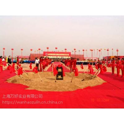 一站式专业庆典服务 品质搭建、设备租赁与成本优化