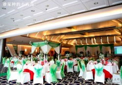 倩怡幸福专线婚庆礼仪服务中心 漕宝路上的专业礼仪庆典专家